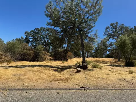 0 Blue Heron Ct, Coarsegold, CA 93614