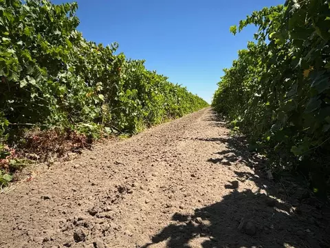 7615 Road 23, Madera, CA 93637 photo 1