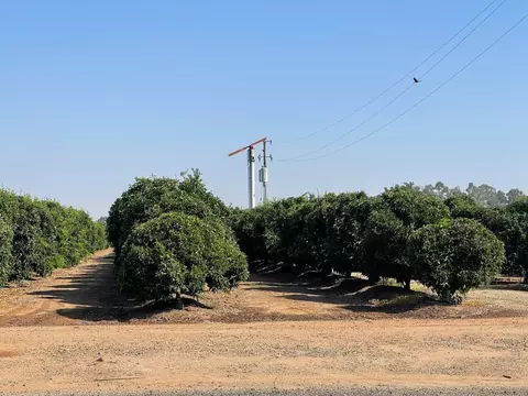 12484 E Ashlan Ave, Sanger, CA 93657
