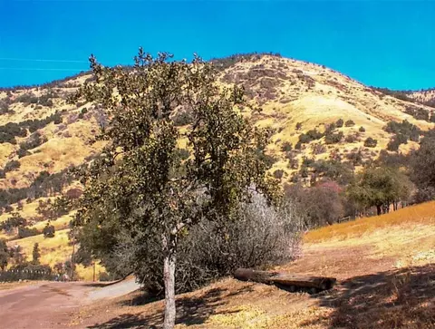 15 Boren, Squaw Valley, CA 93675