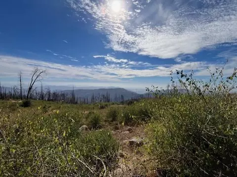 37197 Glenwood Ln, Shaver Lake, CA 93664