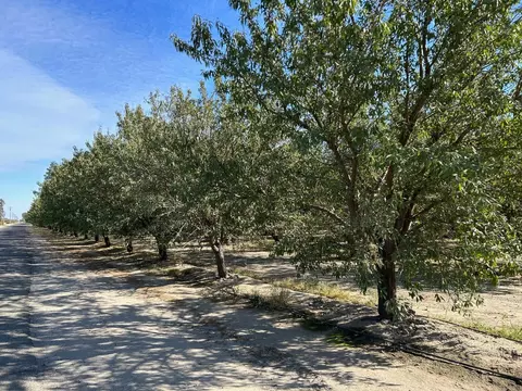 7483 E Saginaw Ave, Selma, CA 93662