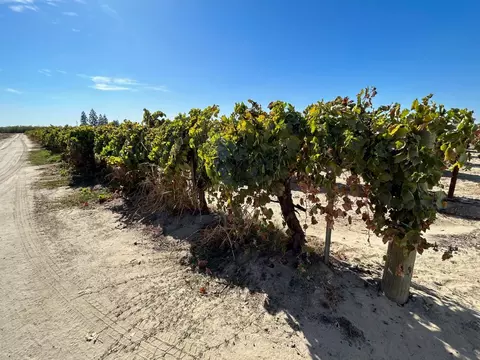 7688 E Saginaw Ave, Selma, CA 93662