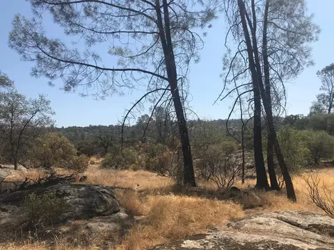 0 Lucian Dr, Coarsegold, CA 93614