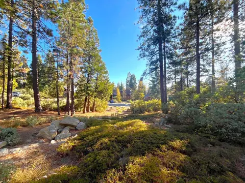 40684 Wildrose Ln, Shaver Lake, CA 93664