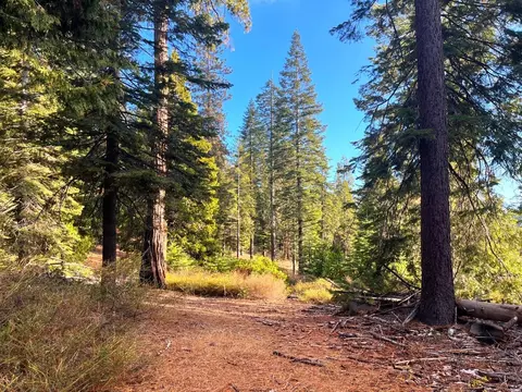 41736 Timber View Ln #13, Shaver Lake, CA 93664