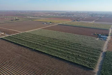 0 E Lincoln, Fowler, CA 93625