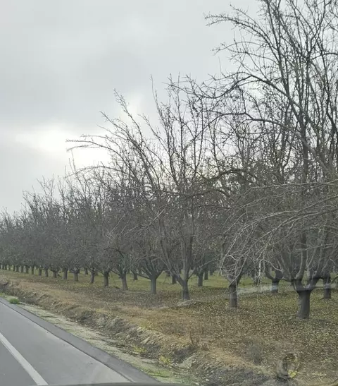 0 Whitesbridge, Kerman, CA 93630 photo 3