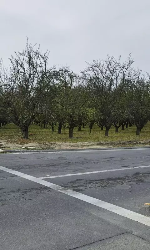 0 Whitesbridge, Kerman, CA 93630 photo 6