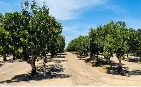 27 Ave 20 12, Madera, CA 93638