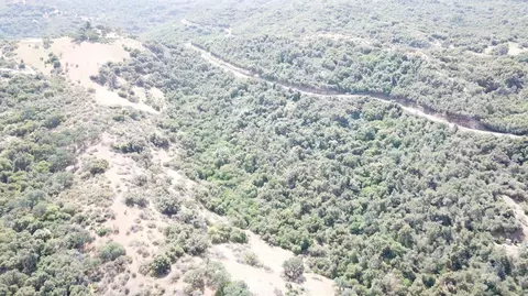 15 Acres, Miramonte, CA 93641 photo 4