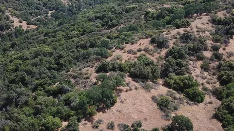 15 Acres, Miramonte, CA 93641 photo 9