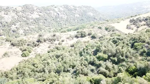 15 Acres, Miramonte, CA 93641 photo 6