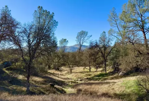 4541 Little Buck Rd, Mariposa, CA 95338
