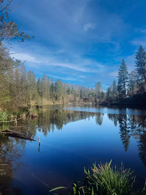 56399 Manzanita Lake Dr, North Fork, CA 93643