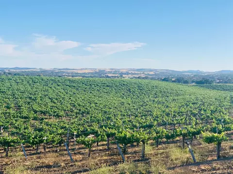 4860 Camp 8 Rd, Paso Robles, CA 93446