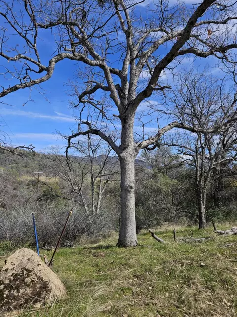 0 Old Hickory Ln, Coarsegold, CA 93614
