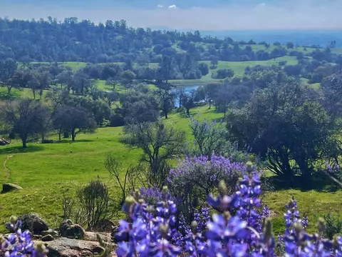 25420 Road 207, Coarsegold, CA 93614