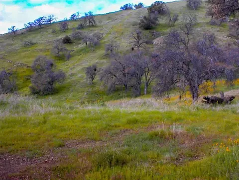 2202 Raven Ln, Yokuts Valley, CA 93675