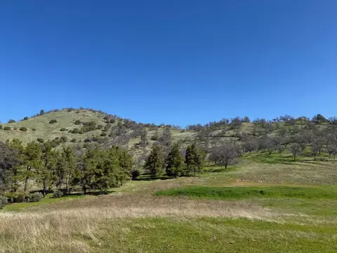 33116 Rancho De La Fruta Ln, Coarsegold, CA 93614
