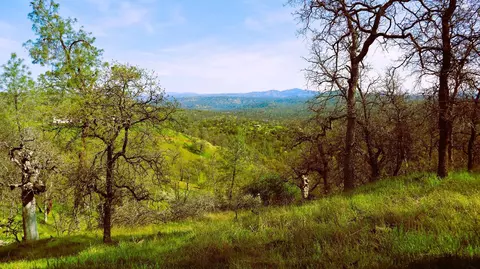 222 Big River Way, Coarsegold, CA 93614