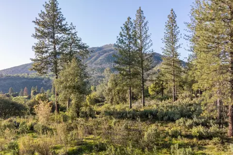 3433 Sterling Ct, Mariposa, CA 95338