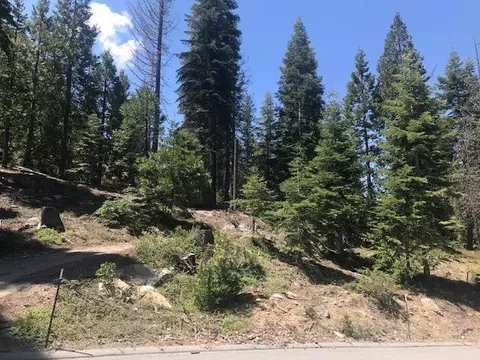 16 Timber Ridge Rd, Shaver Lake, CA 93664