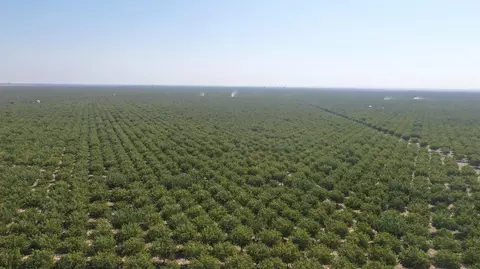 0 Highway 43, Delano, CA 93219