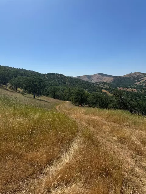 0 Apn 153-290-03, Tollhouse, CA 93667