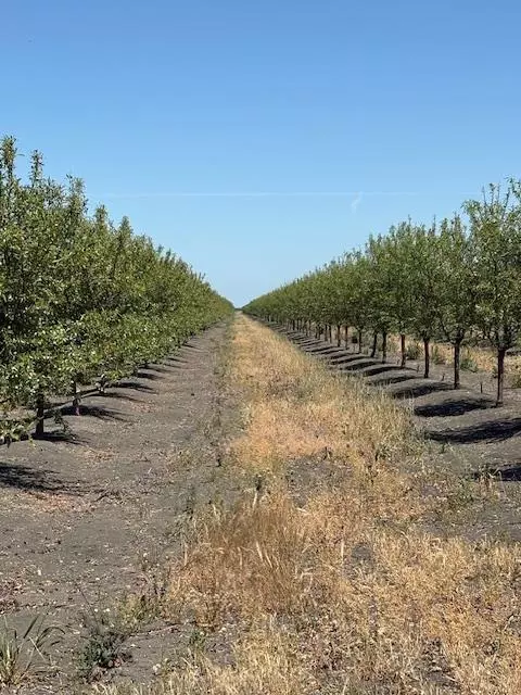 99600 Douglas Ave, Firebaugh, CA 93622