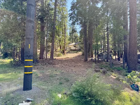 41255 Timber Dr, Shaver Lake, CA 93664