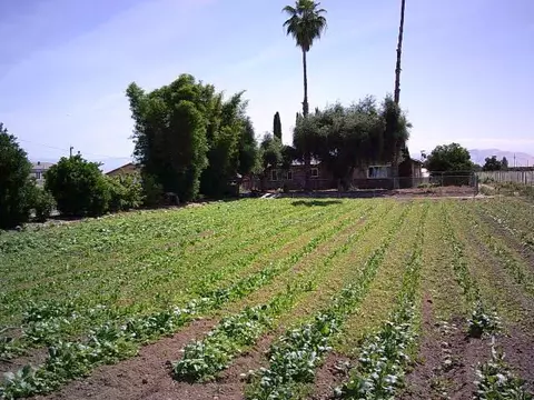 582 N Academy Ave, Sanger, CA 93657