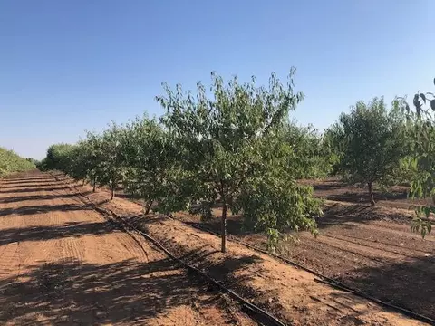 12000 E Shaw Ave, Clovis, CA 93619