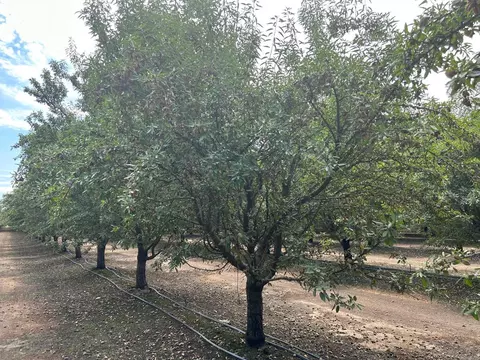 14487 Road 20 12, Madera, CA 93637