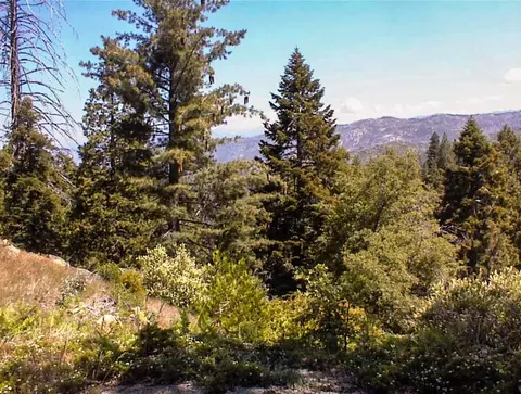 49995 Highway 180, Miramonte, CA 93641 photo 22