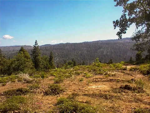 49995 Highway 180, Miramonte, CA 93641 photo 19
