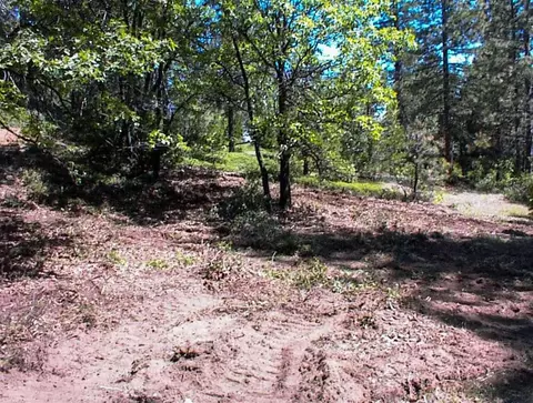 49995 Highway 180, Miramonte, CA 93641 photo 13