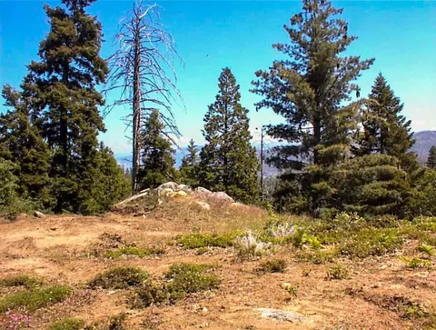 49995 Highway 180, Miramonte, CA 93641 photo 21