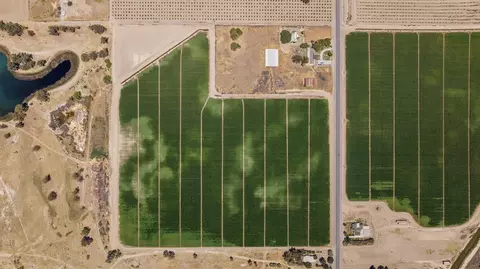14550 18th Ave, Lemoore, CA 93245 photo 3
