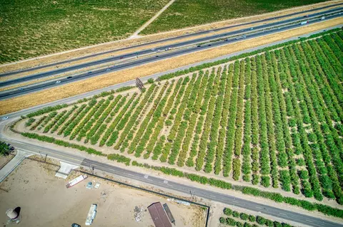 Other - 0 Road 22, Madera, CA 93637 photo 8 of 8