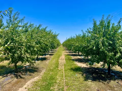 10900 Whitworth, Gustine, CA 95322