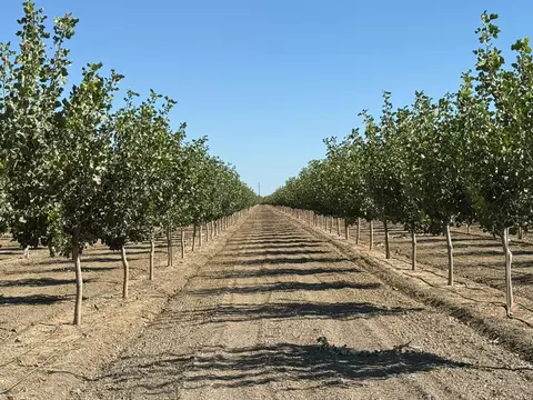 29000 El Dorado Ave, Coalinga, CA 93210