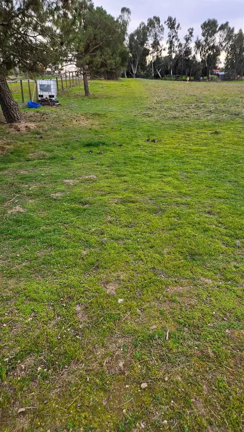 0 El Camino Rd, Madera, CA 93636 photo 6