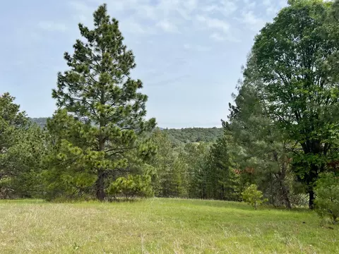 0 Watt Rd, Mariposa, CA 95338