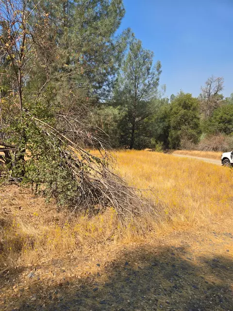 3813 Jones Creek Rd, Mariposa, CA 95338