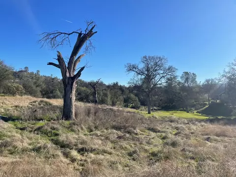 741 Long Hollow Dr, Coarsegold, CA 93614