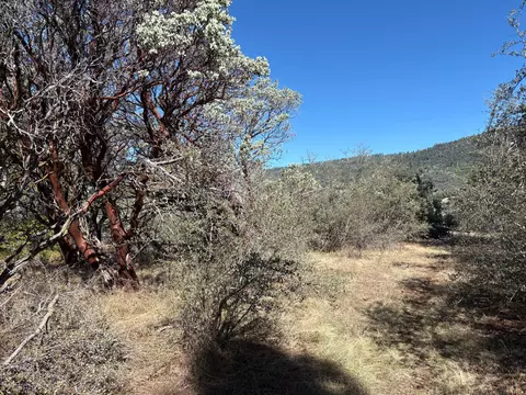 0 Todd Eymann Rd, Miramonte, CA 93641