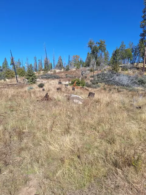 42112 Cedar Springs Rd, Auberry, CA 93602