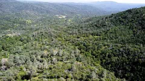 2 Road 200, Coarsegold, CA 93614 photo 7