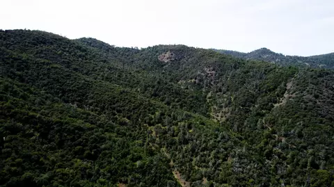 2 Road 200, Coarsegold, CA 93614 photo 4